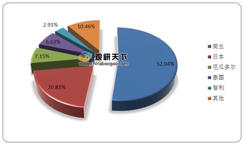 2021年中国花卉市场调研报告 市场规模、现状与发展趋势分析